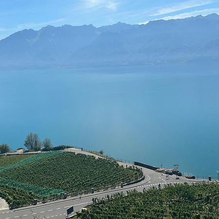 Room With 360° View Overlooking Lake Geneva And Alps Puidoux Екстериор снимка