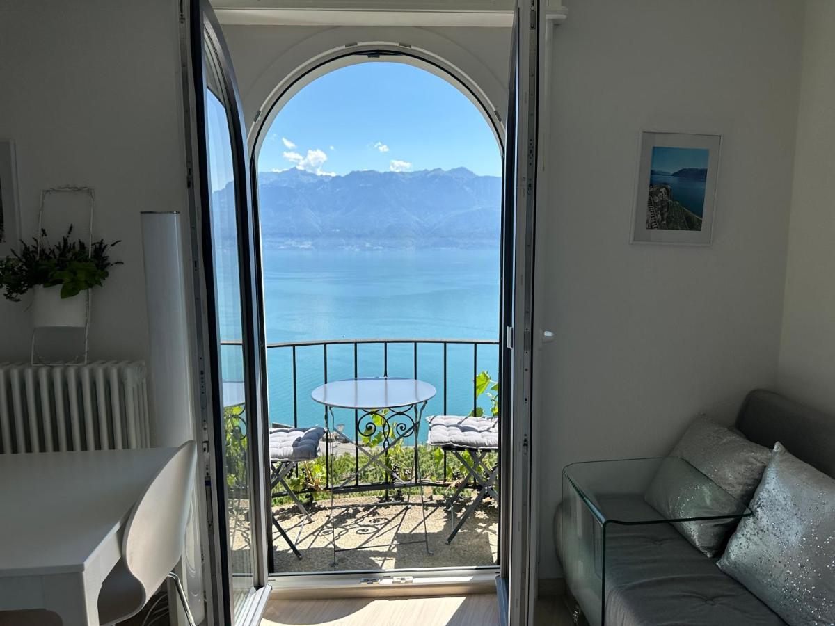 Room With 360° View Overlooking Lake Geneva And Alps Puidoux Екстериор снимка