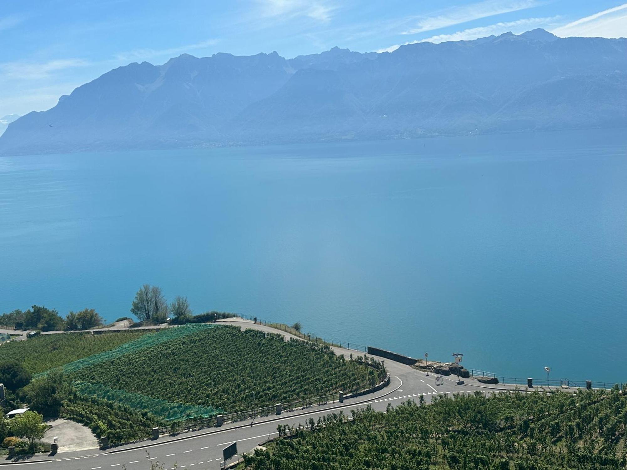 Room With 360° View Overlooking Lake Geneva And Alps Puidoux Екстериор снимка